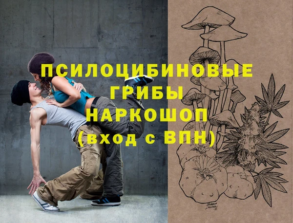 mdpv Белокуриха