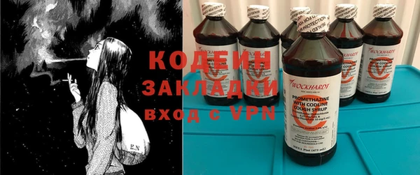 индика Беломорск