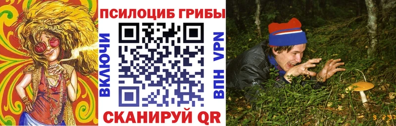 купить наркотики сайты OMG tor Псилоцибиновые грибы мицелий Верхнеуральск
